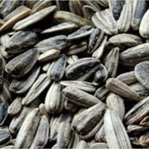 Delta Wilmart Ukraine - Sunflower Seeds