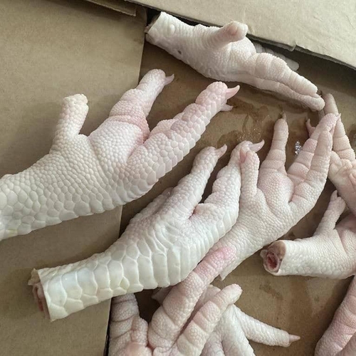 Delta Wilmart Ukraine - Chicken Feet & Paws