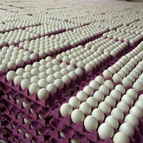Delta Wilmart Ukraine - Chicken Eggs