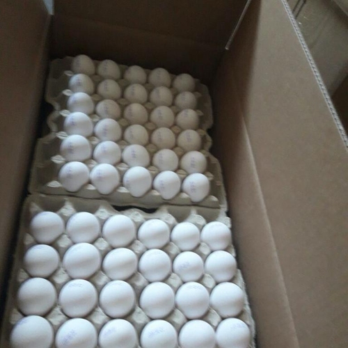 Delta Wilmart Ukraine - Chicken Eggs