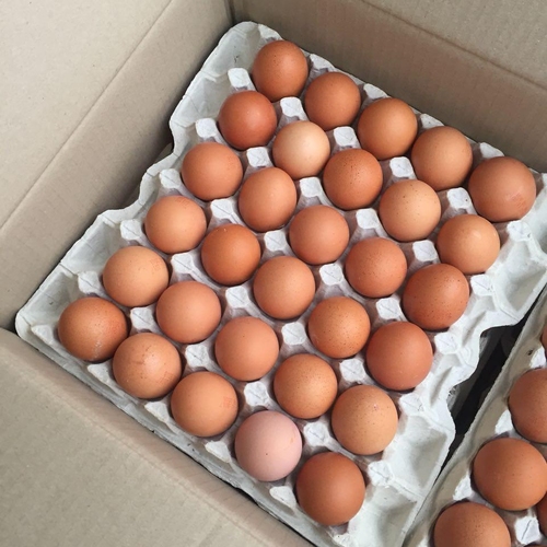 Delta Wilmart Ukraine - Chicken Eggs