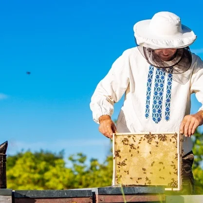 Delta Wilmart Ukraine - Honey