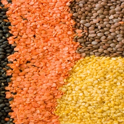 Delta Wilmart Ukraine - Lentil