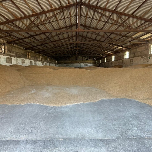 Delta Wilmart Ukraine - WHEAT GRAIN